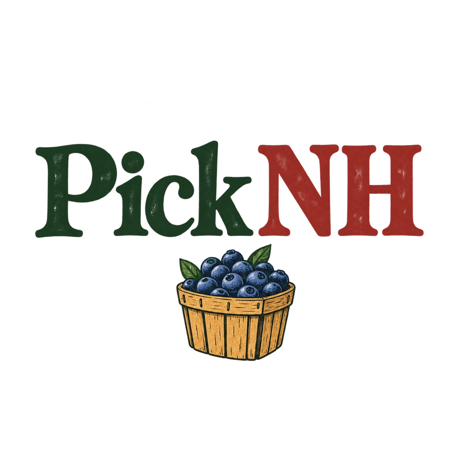 Pick NH original artwork for sand fabric